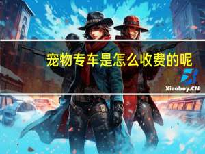 宠物专车是怎么收费的呢
