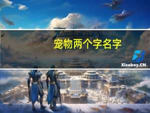 宠物两个字名字