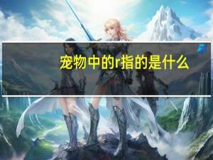 宠物中的r指的是什么