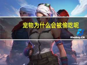 宠物为什么会被偷吃呢