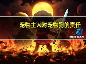 宠物主人对宠物狗的责任