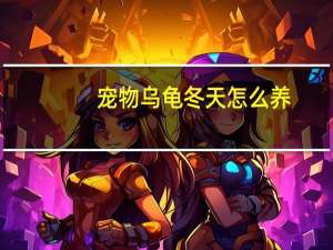 宠物乌龟冬天怎么养