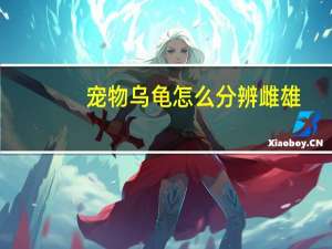 宠物乌龟怎么分辨雌雄