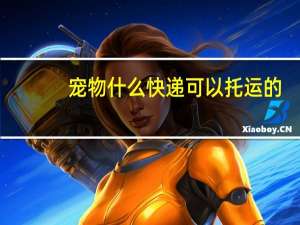 宠物什么快递可以托运的