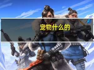 宠物什么的