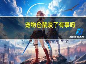 宠物仓鼠咬了有事吗