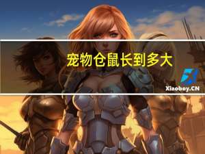 宠物仓鼠长到多大