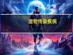 宠物传染疾病