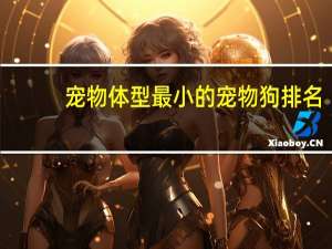 宠物体型最小的宠物狗排名