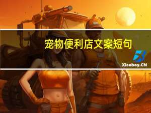 宠物便利店文案短句