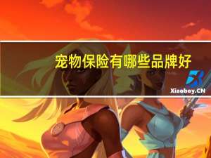 宠物保险有哪些品牌好