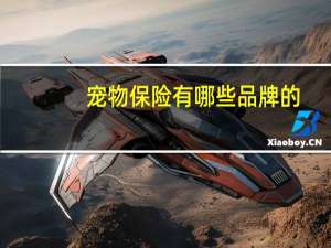 宠物保险有哪些品牌的