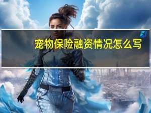 宠物保险融资情况怎么写