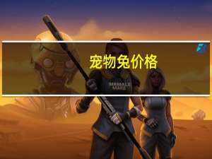 宠物兔价格