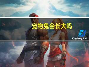 宠物兔会长大吗