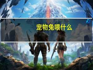 宠物兔喂什么