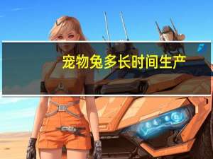 宠物兔多长时间生产
