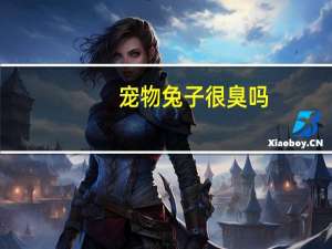 宠物兔子很臭吗