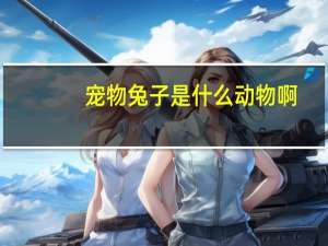 宠物兔子是什么动物啊