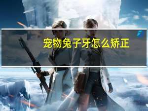 宠物兔子牙怎么矫正