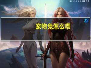 宠物兔怎么喂