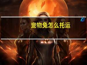 宠物兔怎么托运