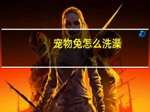宠物兔怎么洗澡