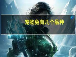 宠物兔有几个品种（宠物兔有什么品种）