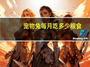 宠物兔每月吃多少粮食