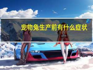 宠物兔生产前有什么症状
