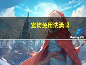 宠物兔用洗澡吗