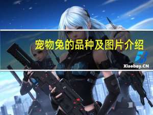 宠物兔的品种及图片介绍（宠物兔的品种及图片）