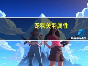 宠物关羽属性