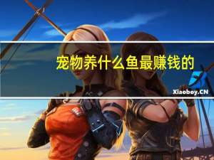 宠物养什么鱼最赚钱的