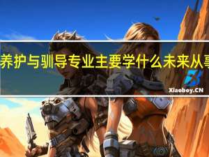 宠物养护与驯导专业主要学什么 未来从事什么工作