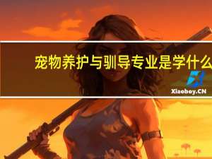 宠物养护与驯导专业是学什么