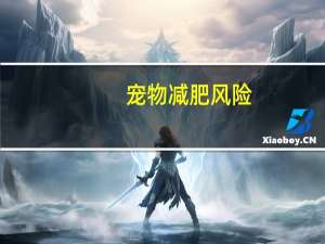 宠物减肥风险