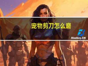 宠物剪刀怎么磨