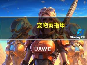 宠物剪指甲