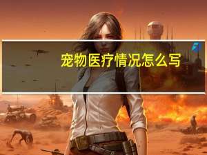 宠物医疗情况怎么写