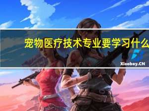 宠物医疗技术专业要学习什么