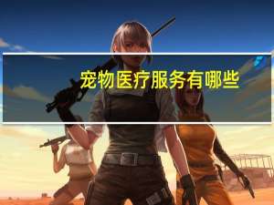 宠物医疗服务有哪些