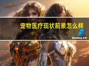 宠物医疗现状前景怎么样