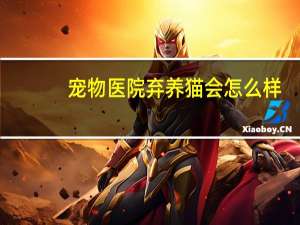 宠物医院弃养猫会怎么样