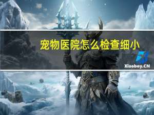 宠物医院怎么检查细小