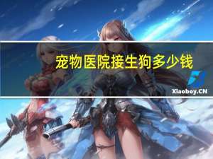 宠物医院接生狗多少钱
