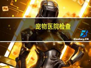 宠物医院检查