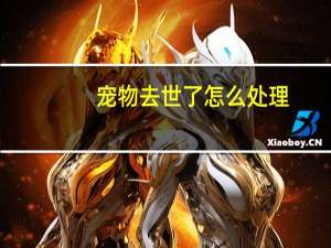 宠物去世了怎么处理
