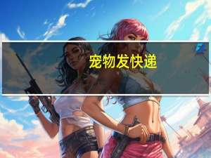宠物发快递