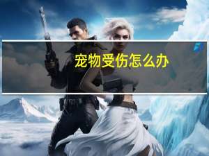 宠物受伤怎么办